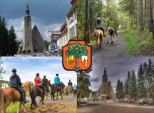 Stadnina koni Limanowa - najlepsze stajnie i usługi jeździeckie