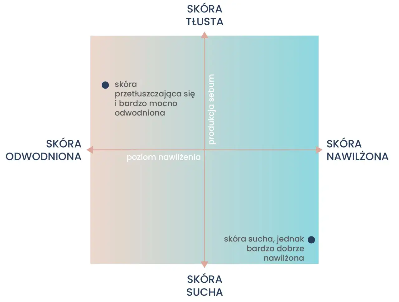Wykres przedstawia typy skóry: odwodniona, tłusta, sucha i nawilżona. Jeden z punktów opisuje skórę przetłuszczającą się i bardzo mocno odwodnioną, co jest jednym z objawów odwodnienia.