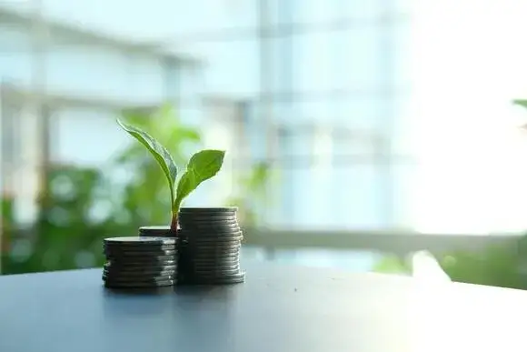 Jak obliczyć rentowność inwestycji i uniknąć finansowych strat