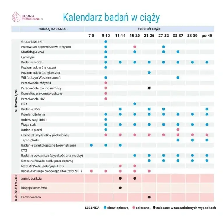 Kiedy pierwsze badania prenatalne? Terminy, USG, PAPP-A i refundacja