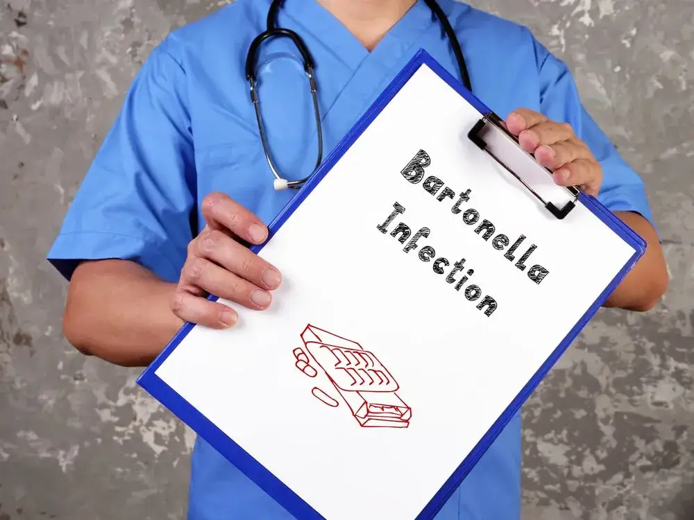 Bartonella objawy psychiczne: niebezpieczne skutki, które musisz znać