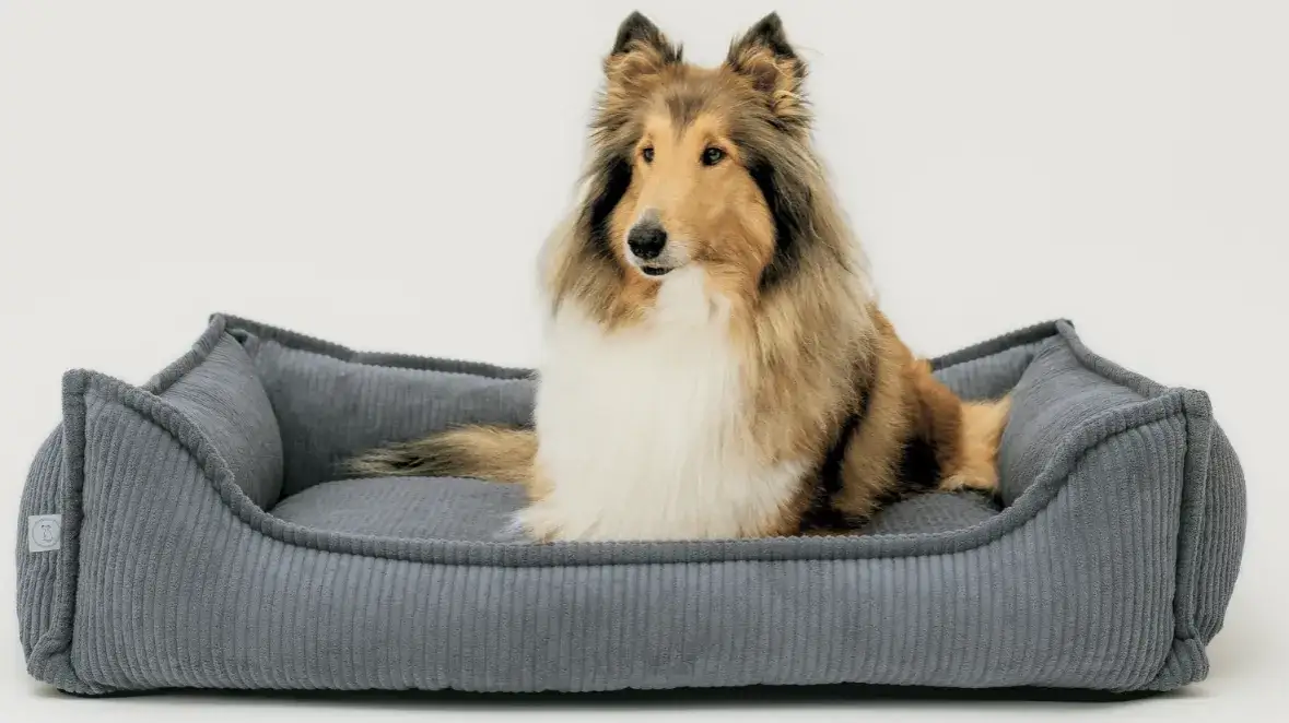 legowisko sofa