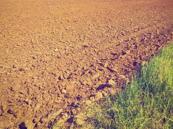 Użyźnianie gleby piaszczystej: Zmień piasek w żyzny grunt!