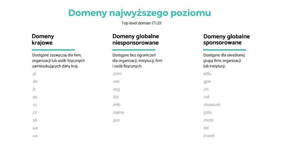 Domena .org: Dla kogo jest idealna i czy warto ją wybrać?