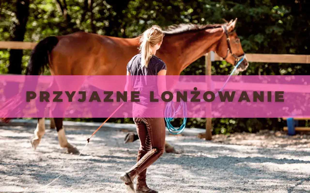 Jeździectwo Lublin: wyjątkowe możliwości edukacyjne i sportowe