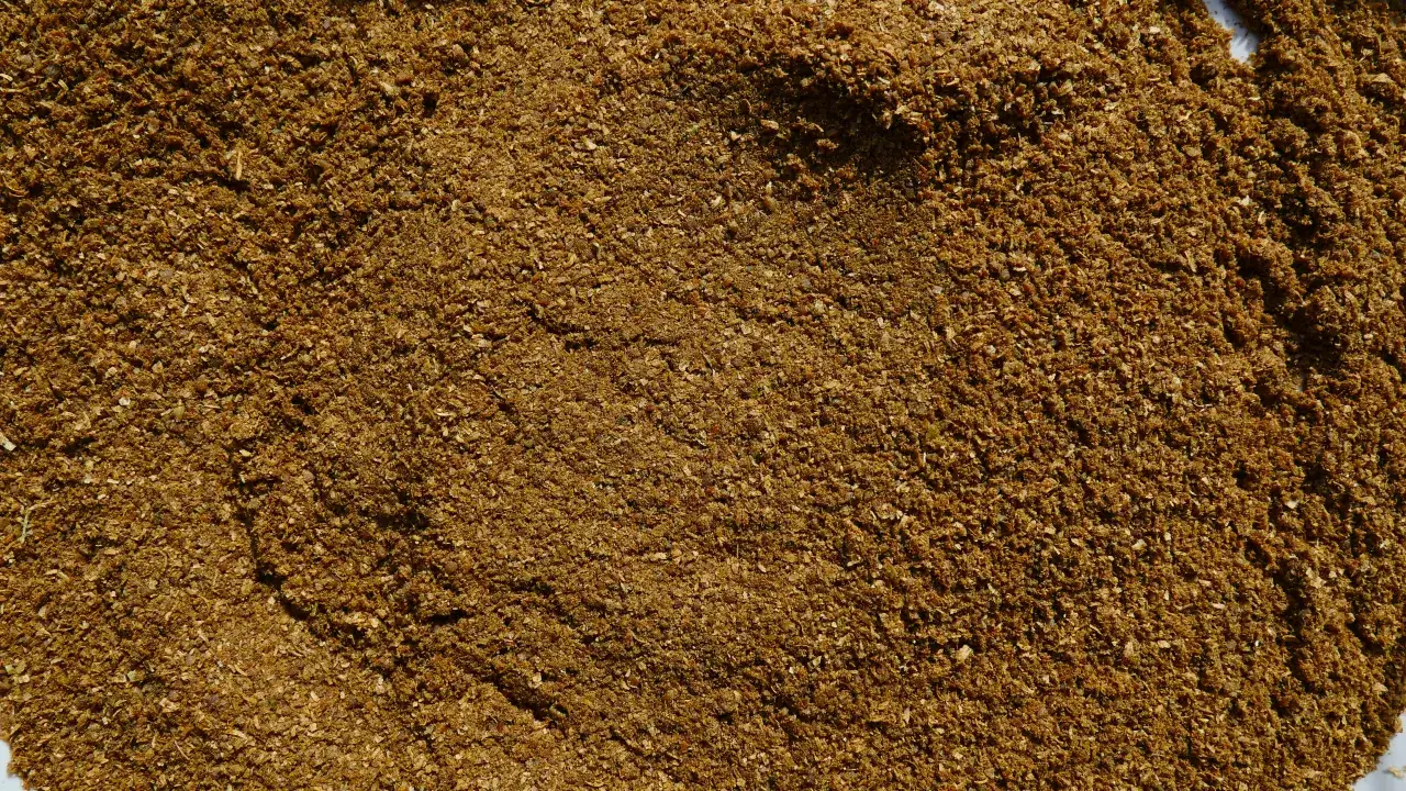 Najlepsze zanęty Grabowski: rodzaje, zastosowanie i opinie wędkarzy