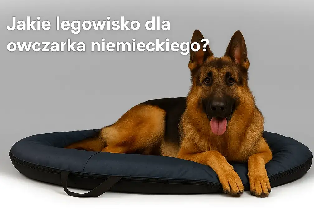 Jakie legowisko dla owczarka niemieckiego zapewni mu komfort i zdrowie