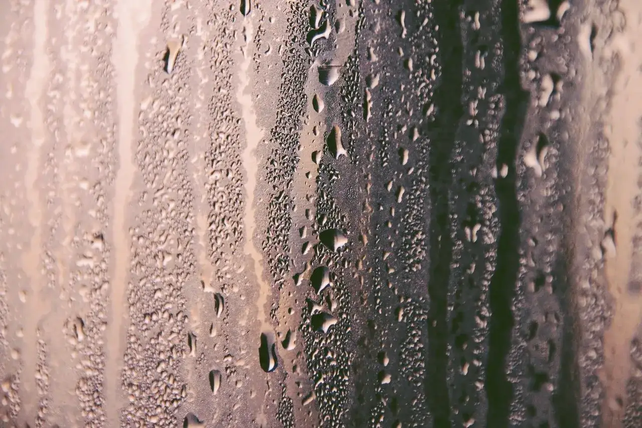 Zaparowane okna? Poznaj 7 przyczyn i raz na zawsze pozbądź się wilgoci!