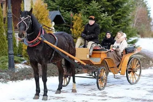 Aktualne ceny bryczek w Dolinie Kościeliskiej - wszystko co musisz wiedzieć
