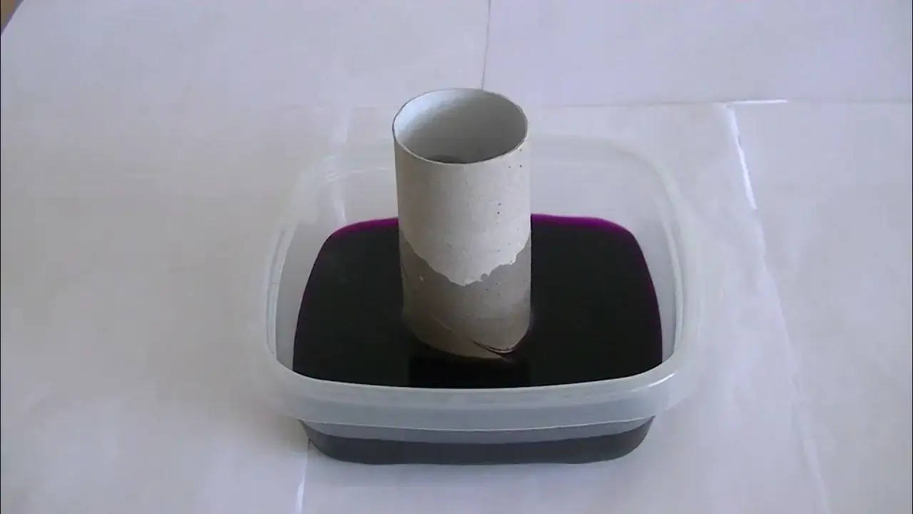 Zjawisko włoskowatości: jak działa kapilarność i jej znaczenie w przyrodzie