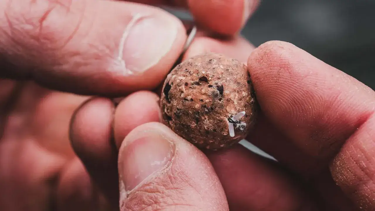 Dłonie trzymają kulkę pelletu z haczykiem. Prosty sposób, jak założyć pellet na haczyk, by łowić ryby.