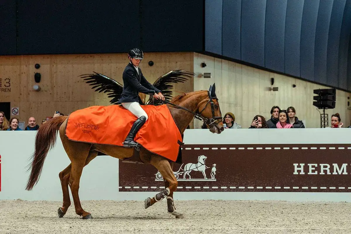 Jeździectwo w TV: Gdzie i kiedy oglądać emocjonujące zawody?