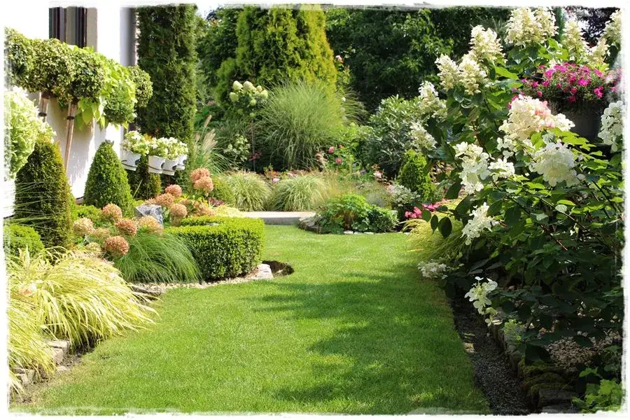 Ogród przed domem: Projekt krok po kroku porady i inspiracje