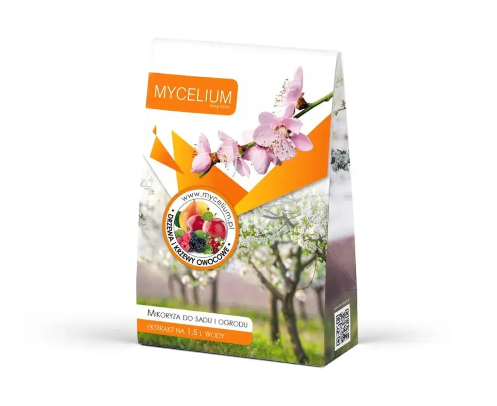 Mikoryza: Klucz do zdrowego i odpornego ogrodu. Jak ją stosować?