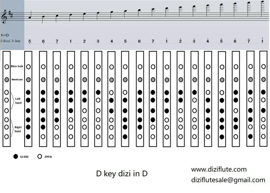 Jak zagrać nuty na flecie – proste kroki dla początkujących bez frustracji