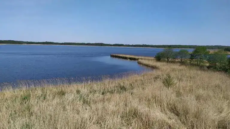 Ostrów Wielkopolski atrakcje – odkryj najciekawsze miejsca i wydarzenia