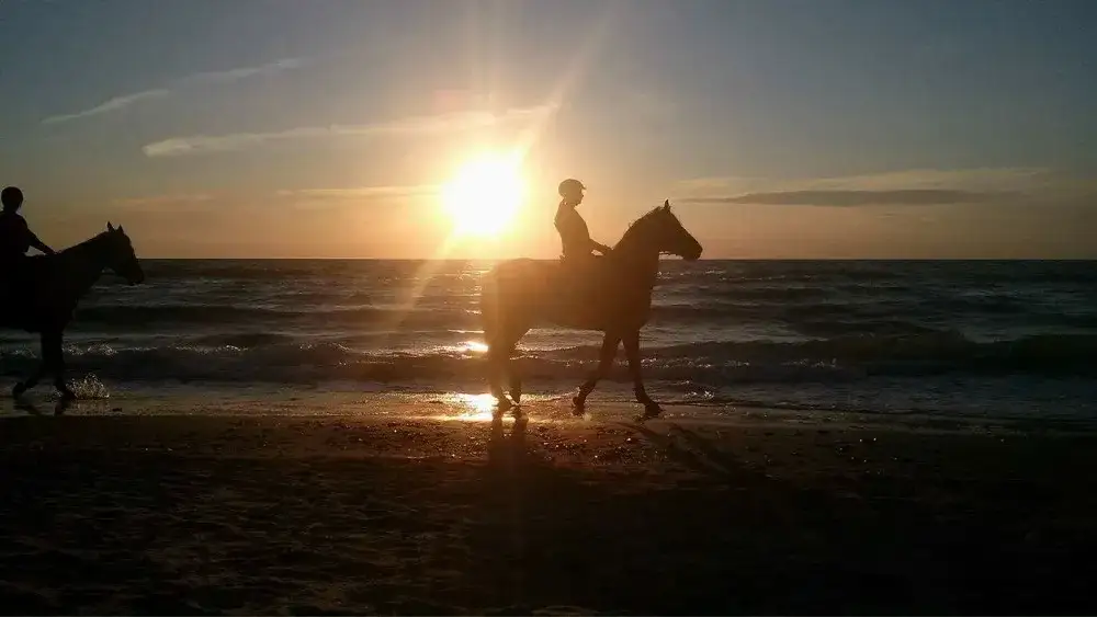 Stajnia koni Jarosławiec - idealne miejsce na naukę jazdy konnej