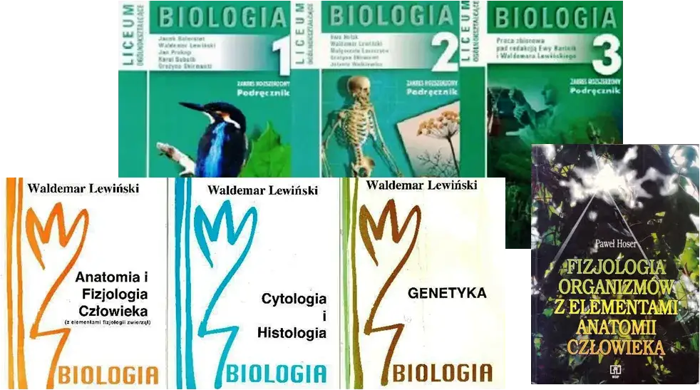 Jakie repetytorium do matury z biologii wybrać, aby zdać bez stresu?