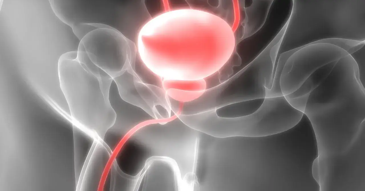 Urolog: Kiedy wizyta jest kluczowa? Objawy i choroby