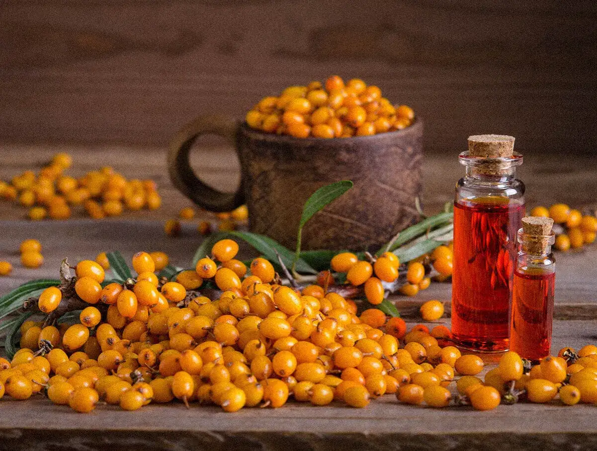 Olej z rokitnika właściwości: pomarańczowe owoce rokitnika, gałązki i dwie buteleczki z bursztynowym olejem na drewnianym tle.