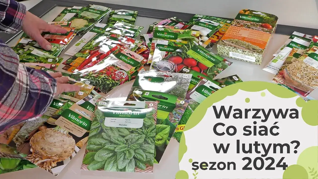 Co można uprawiać w różnych warunkach? Odkryj najlepsze rośliny