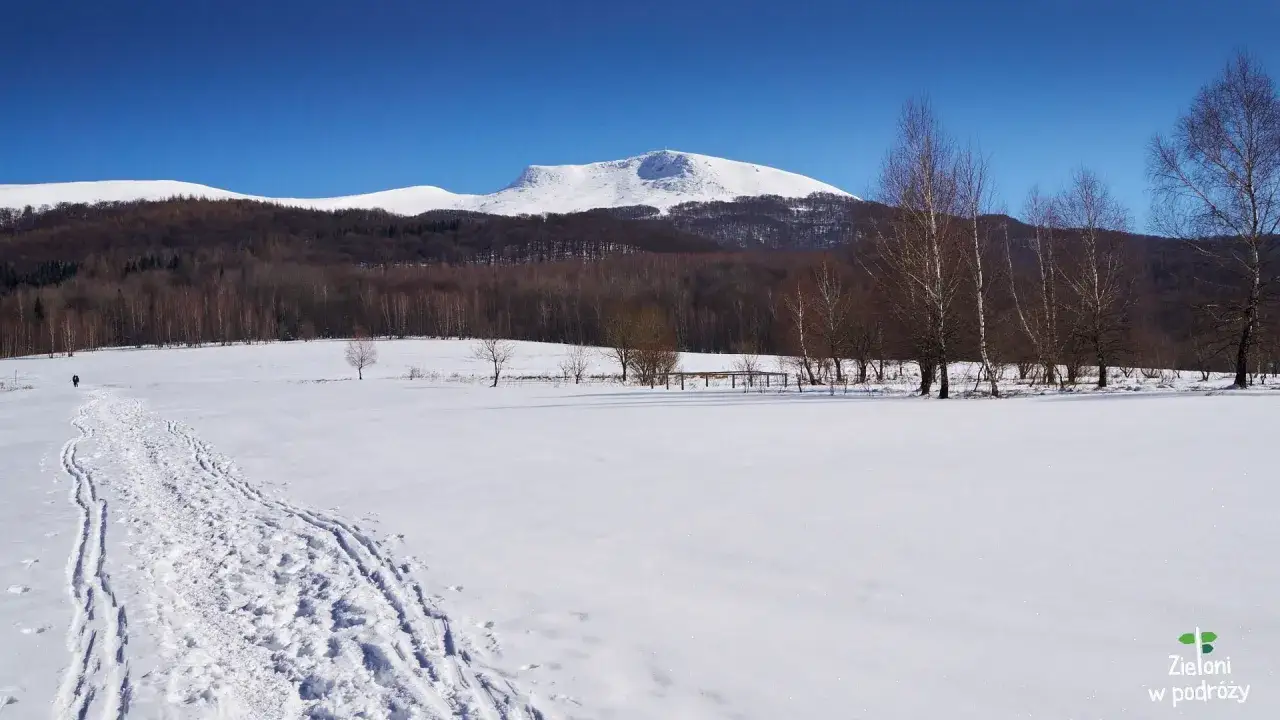 Tarnica w styczniu: czy szlak jest otwarty? Sprawdź warunki!