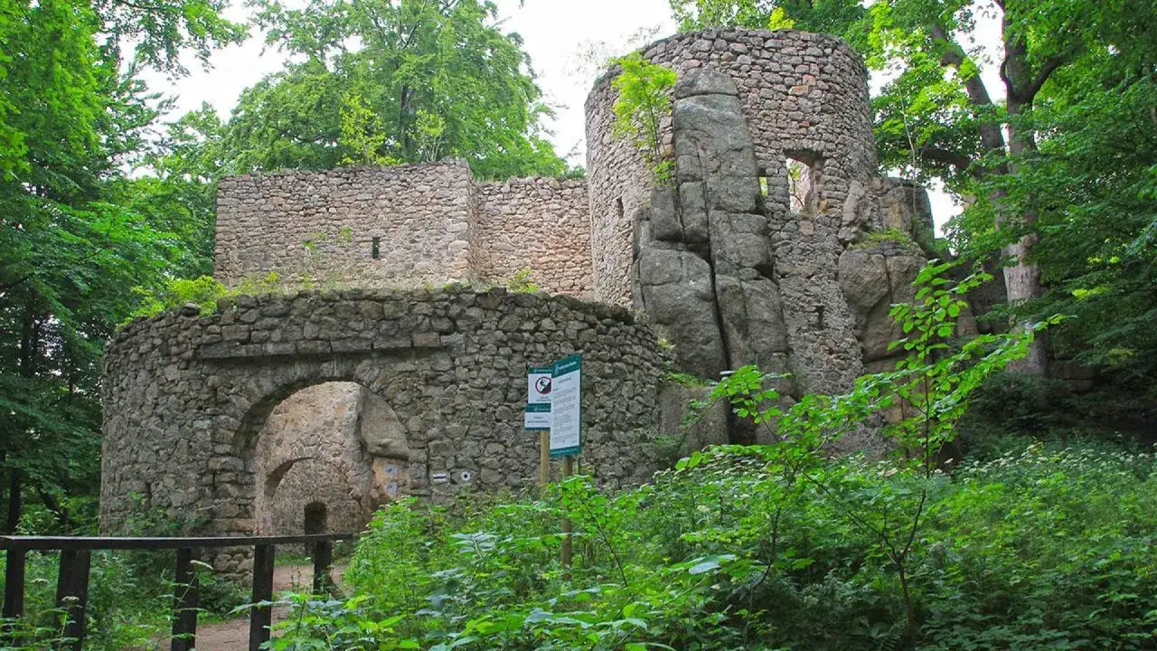 Kamienne ruiny zamku w Janowicach Wielkich, otoczone bujną zielenią, to jedne z najciekawszych atrakcji regionu.