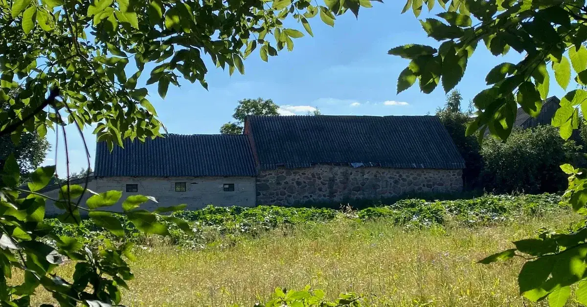 Czy jest dofinansowanie do wymiany dachu? Sprawdź dostępne opcje wsparcia