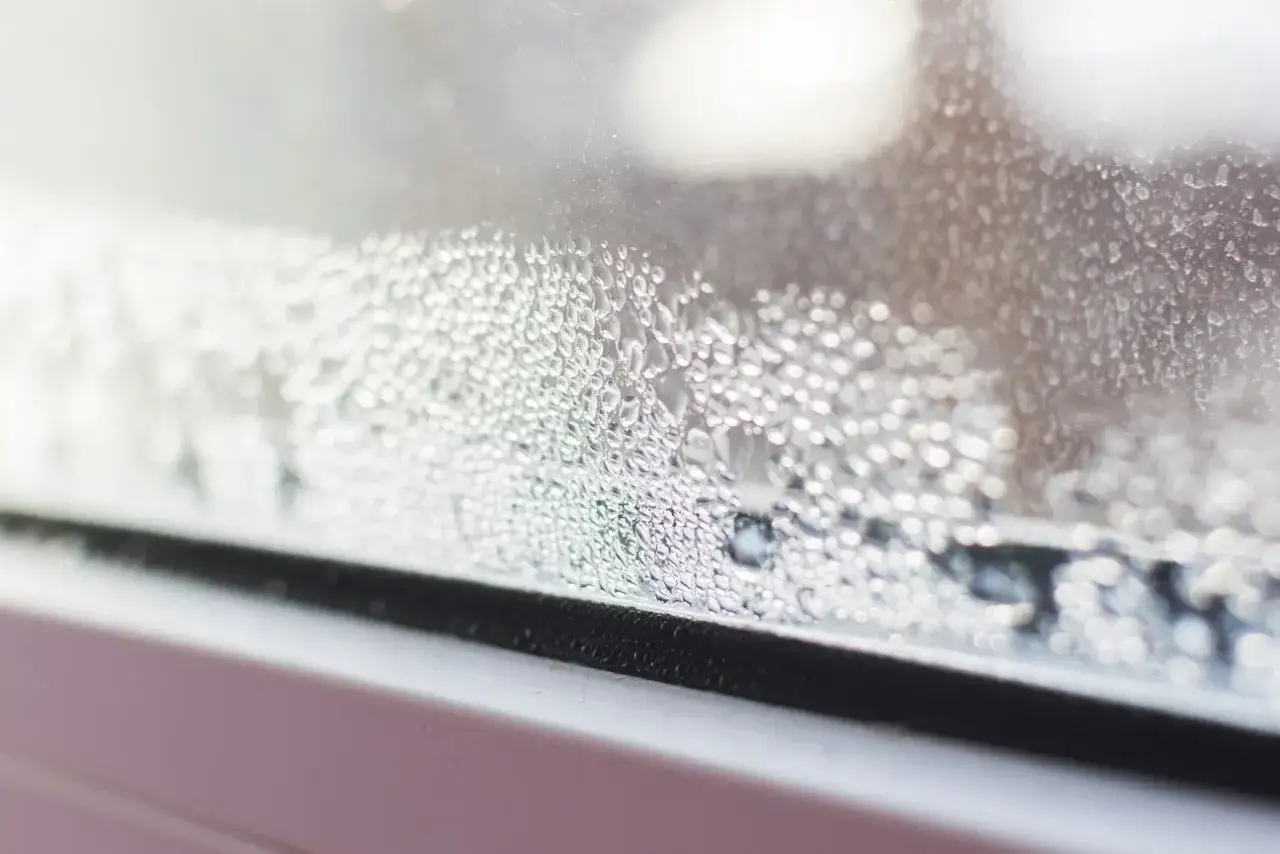 Dlaczego okna się pocą? Przyczyny i skuteczne rozwiązania