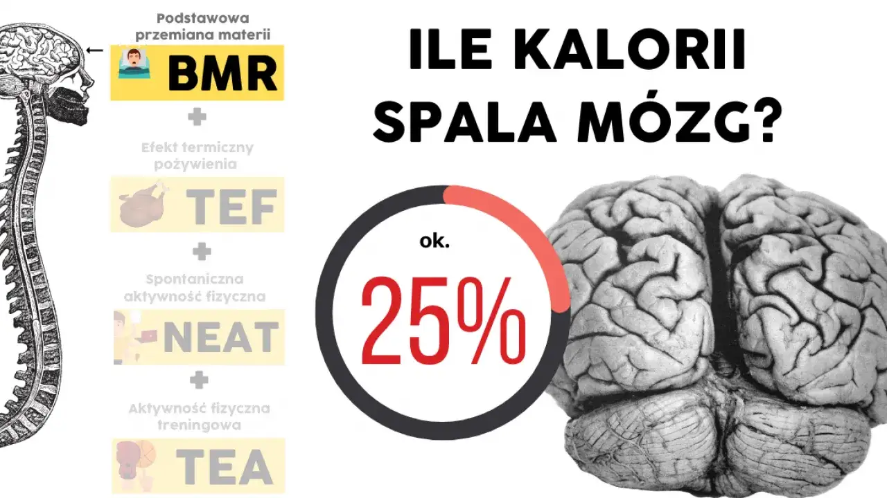 Czy rozciąganie spala kalorie? Poznaj fakty i prawdziwe korzyści!