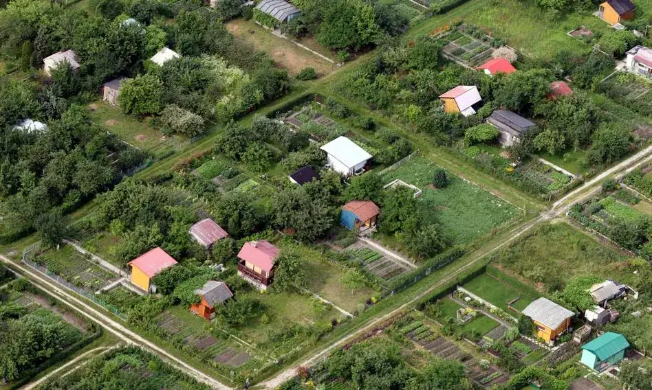 Ile kosztuje działka ROD? Ceny, które mogą Cię zaskoczyć