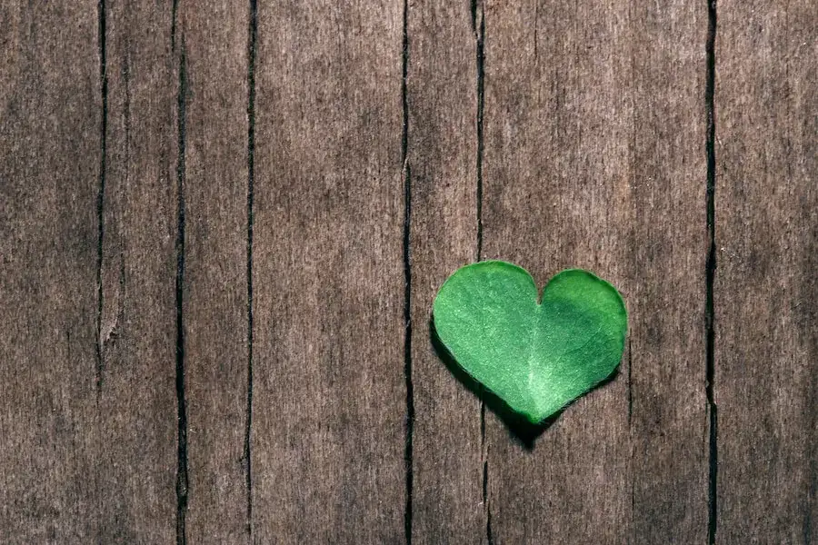 Co przynosi szczęście w miłości? Praktyczne porady i sekrety udanych relacji