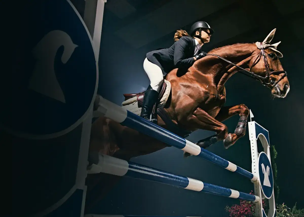 Jeździectwo: Sport czy rekreacja? Zrozum i wybierz mądrze