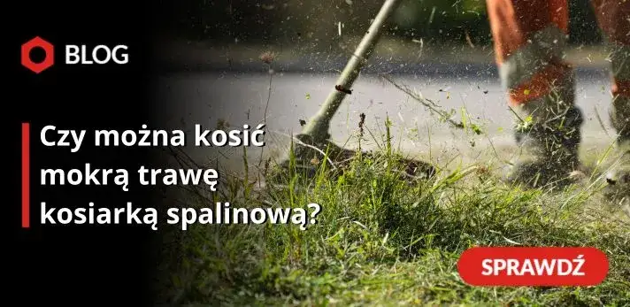 Czy można kosić mokrą trawę kosiarką spalinową? Poradnik