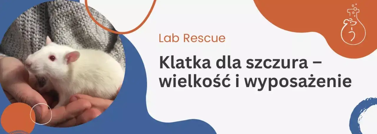Jaką klatkę dla szczura wybrać, by zapewnić mu komfort i bezpieczeństwo?