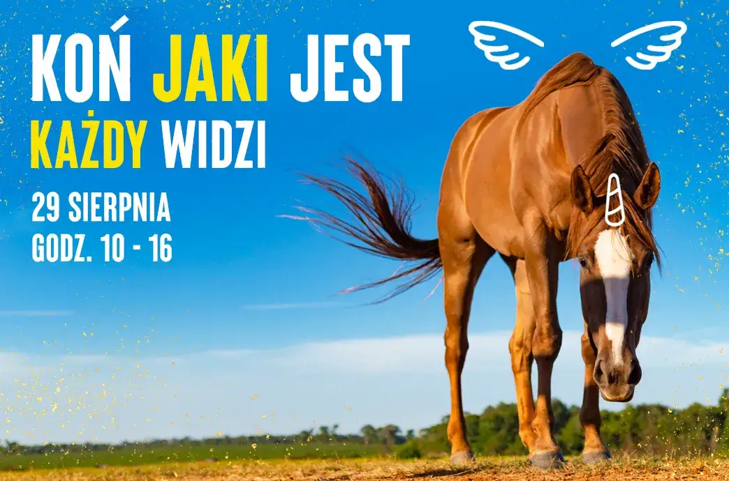 Koń jaki jest każdy widzi – odkryj jego ukrytą symbolikę w kulturze