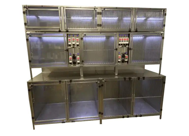 Gdzie pracuje weterynarz? Odkryj różnorodność miejsc zatrudnienia