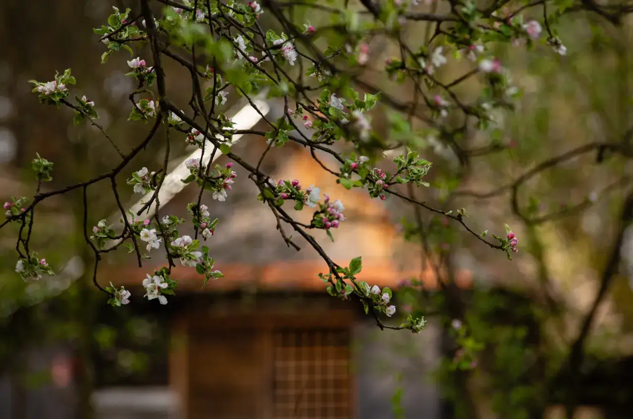 Skansen Kolbuszowa: Godziny, bilety, dojazd. Jak zaplanować wycieczkę?
