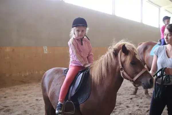 Stadnina koni Udórz - historia, usługi i wydarzenia dla miłośników jeździectwa