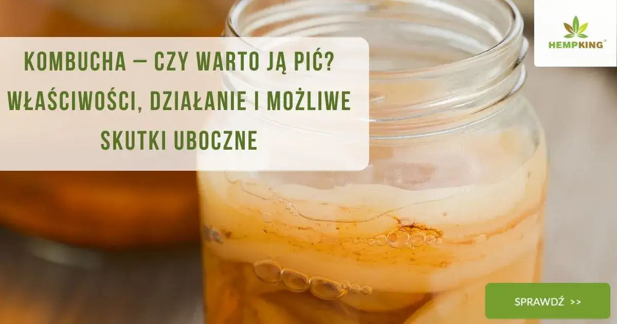 Kombucha: Właściwości, działanie i ryzyko. Czy warto ją pić?