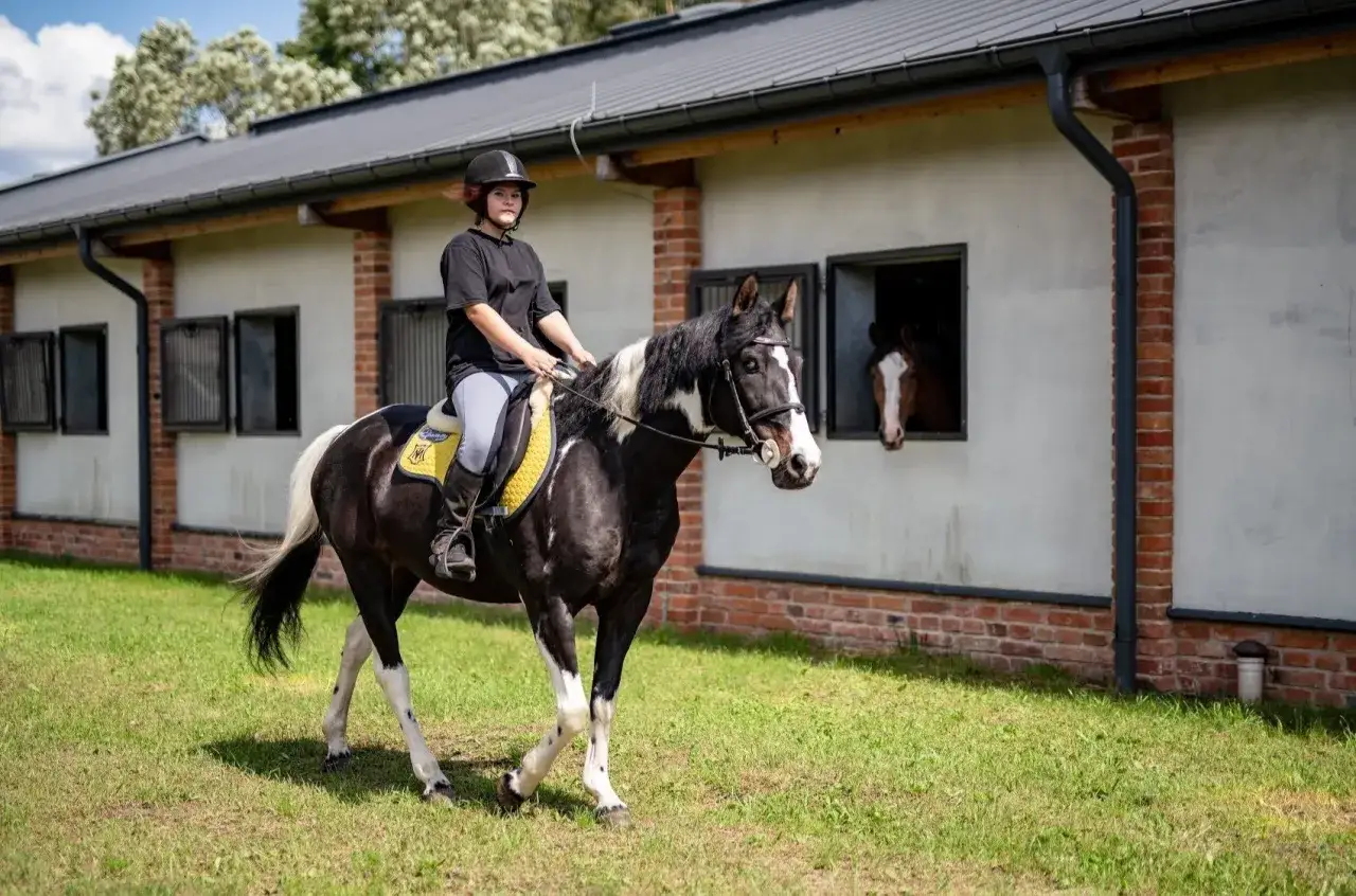 Młoda amazonka na karym koniu z białą grzywą przemierza trawiasty teren przed stajnią Equita Jeździecki Klub Sportowy w Świętochłowicach.