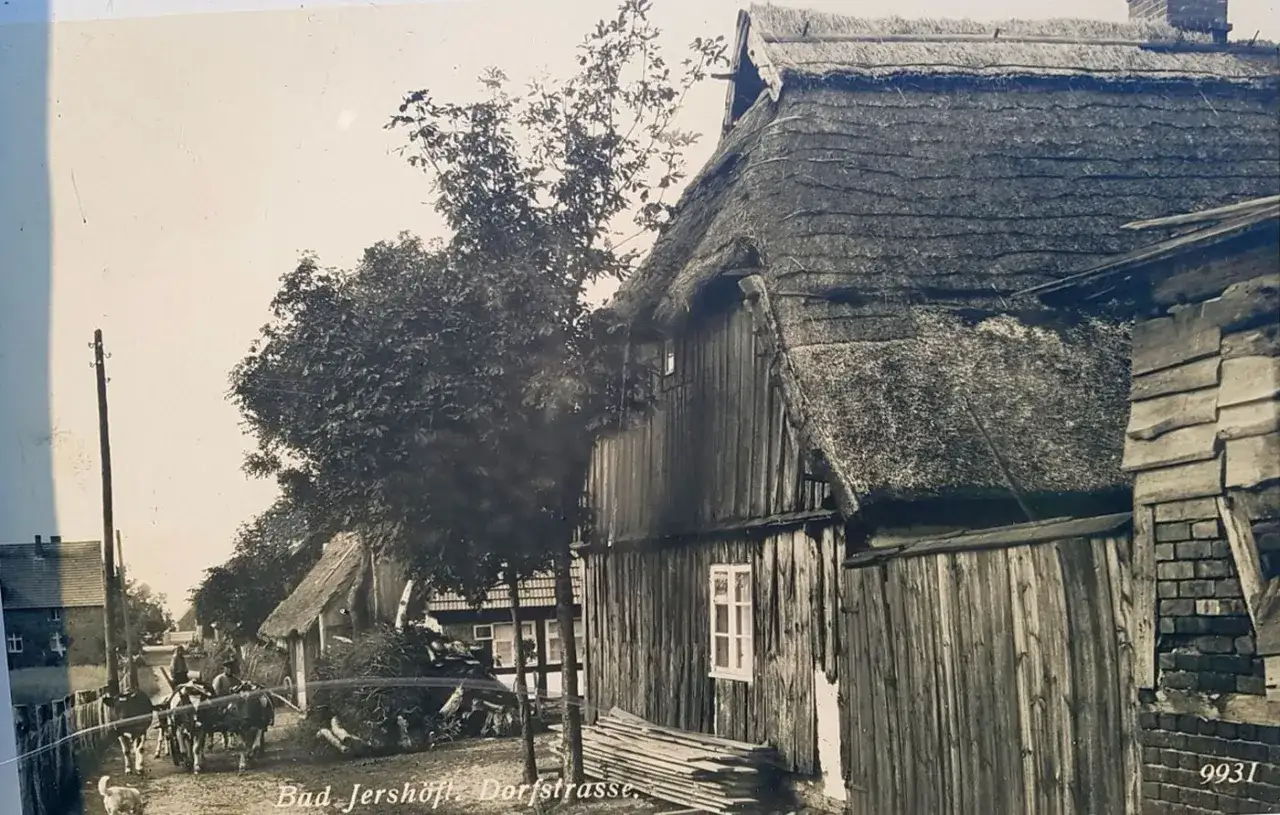 Jarosławiec: Jazda konna z widokiem na morze? Odkryj Horyzont!