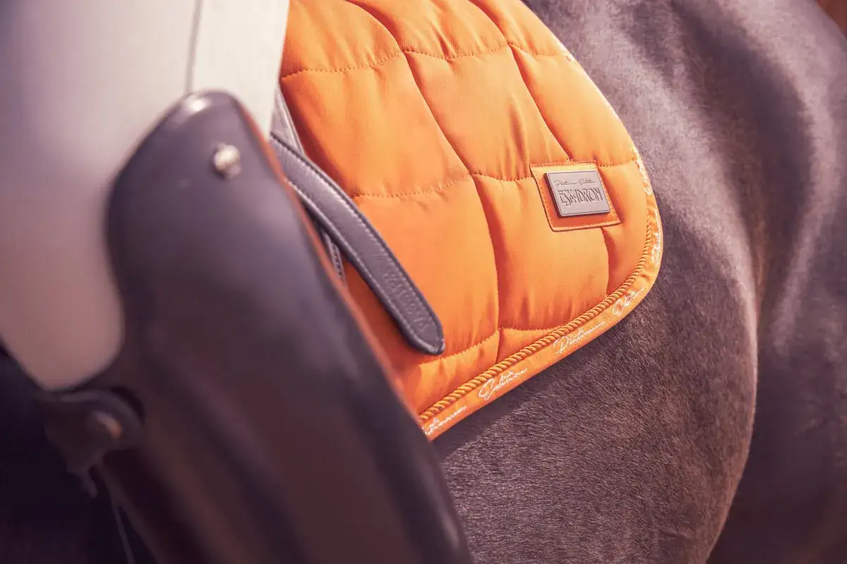 Jaka podkładka pod siodło? Czaprak, potnik, żel wybierz mądrze!