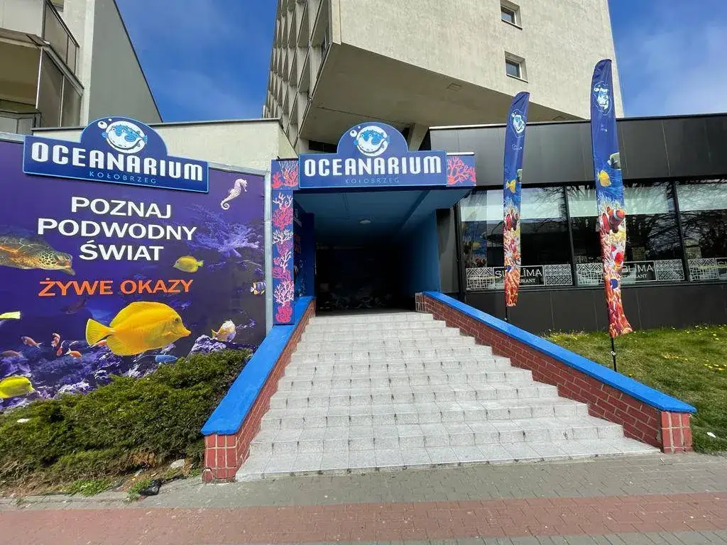 Ile kosztuje bilet do oceanarium w Kołobrzegu? Sprawdź ceny teraz