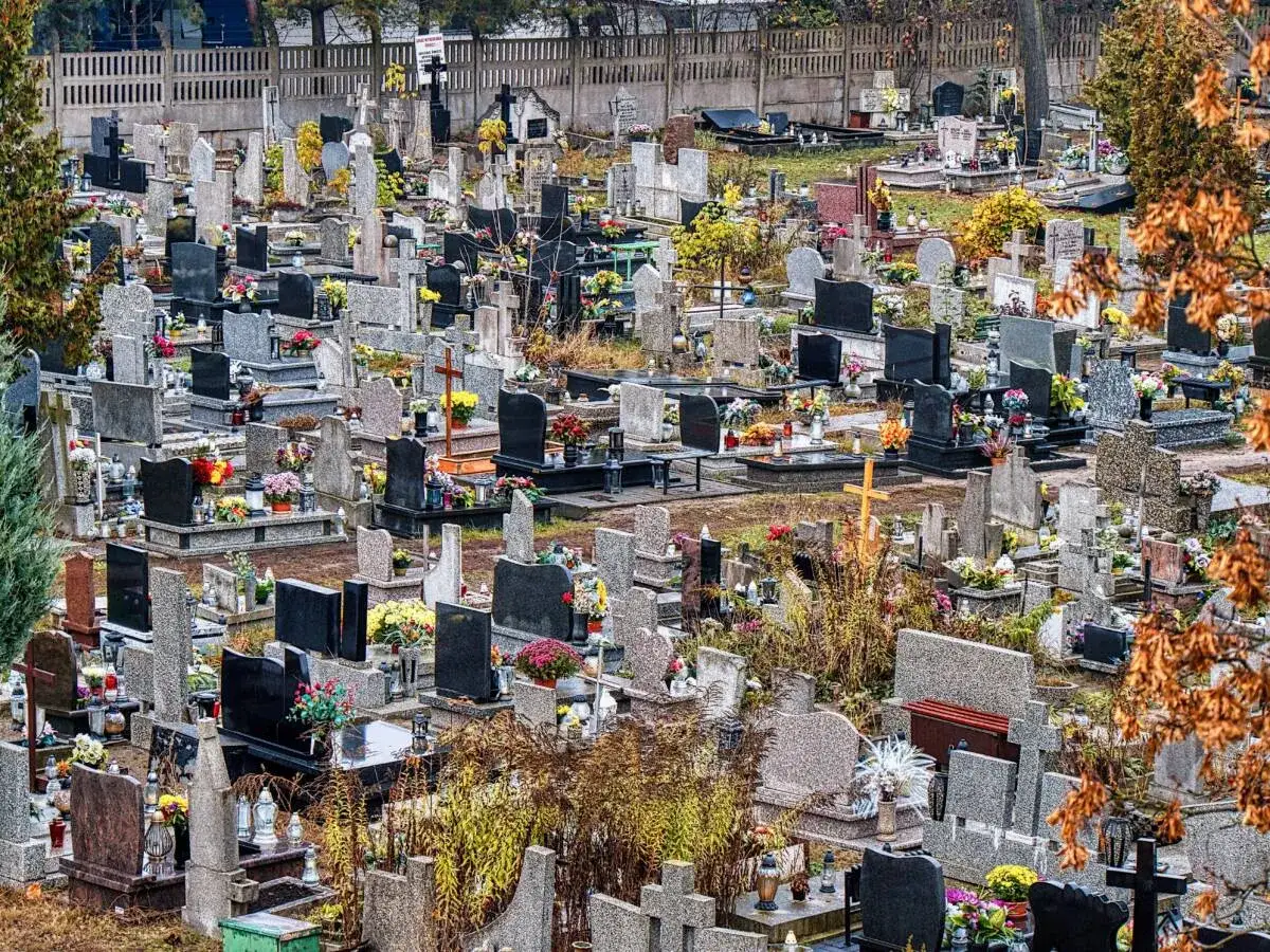 Cmentarz komunalny Bydgoszcz. Wiele nagrobków, krzyży i kwiatów na jesiennym tle.