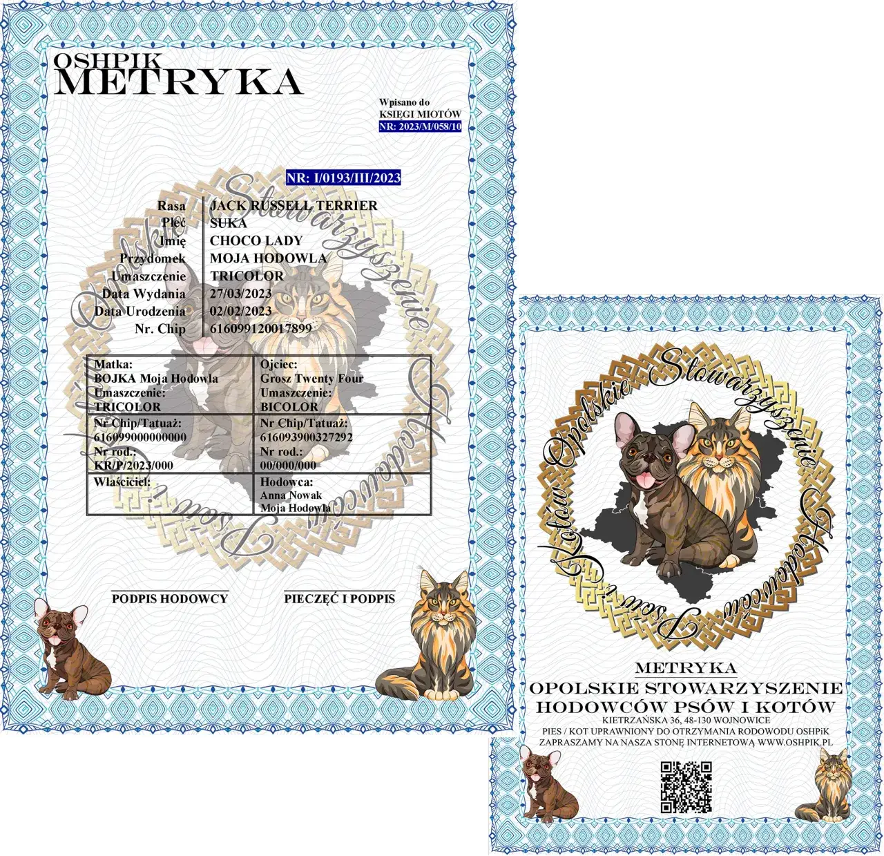 Ile kosztuje metryka dla psa? Sprawdź ceny i ukryte opłaty