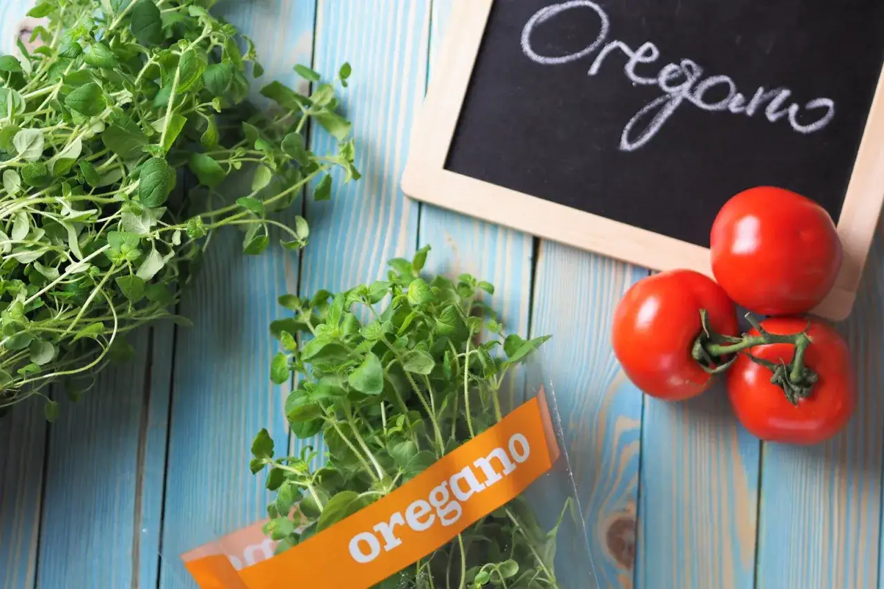 Świeże oregano na niebieskim tle, obok pomidorów i tabliczki z napisem "oregano". Idealne, co zamiast oregano do pizzy.