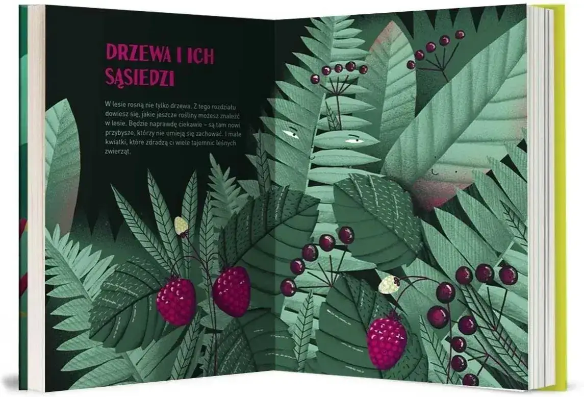 Czy warto podróżować? Przykłady z literatury, które zmieniają życie