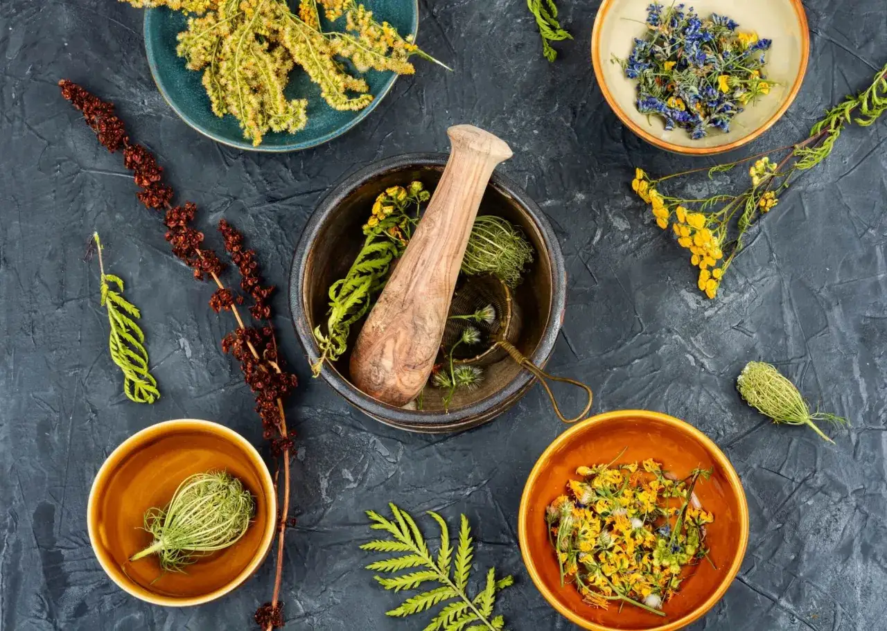 Skuteczne zioła na alergię: Koniec z katarem i swędzeniem skóry?