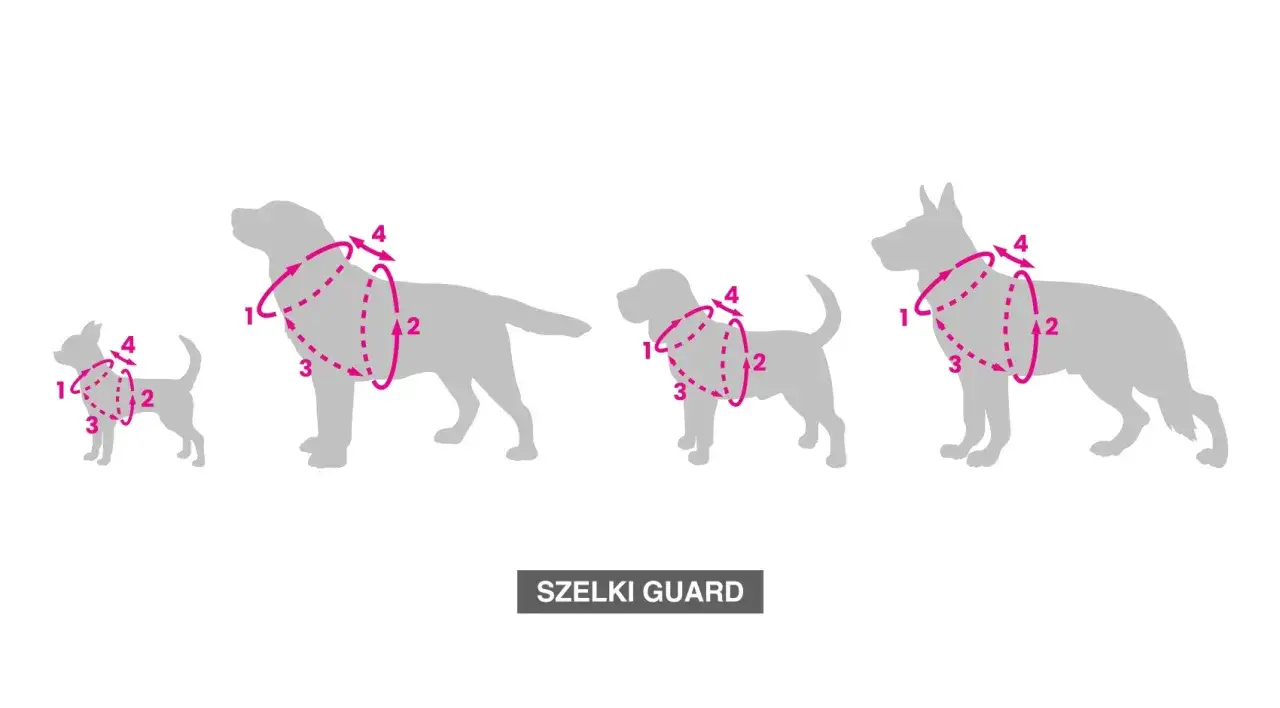 Szelki dla szczeniaka: Bezstresowe zakładanie krok po kroku